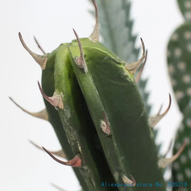 Kép /1-db-mesterséges-kaktusz-zöld-növény-otthon-kert-6-480-thumb.jpg