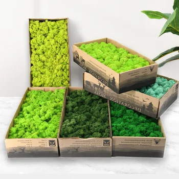 500g Természetes, Friss Zöld fű, Moha,Valódi, Tartósított Virág Zöld Növény Esküvői Haza Dekoratív Fali DIY Mini Kerti Kiegészítők