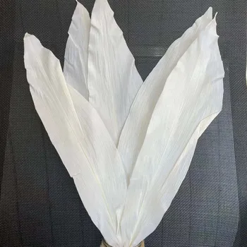 5DB /10* 50CM Dekoratív Eternelle Fehér Levelek Szárított Természetes Tartósított Virágok Oncidium Ág,lakberendezés,Virágos Megállapodás
