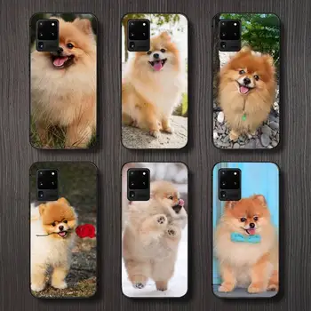 Pomerániai kutya aranyos Telefon tok Samsung galaxy S megjegyzés 10 7 8 9 20 30 31 40 50 51 70 71 21 s ultra plus