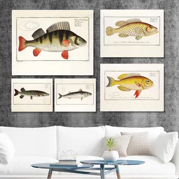 Retro art állat poszter hal evolúció népszerű tudomány vászon festmény, nappali, folyosó, lakberendezési freskó